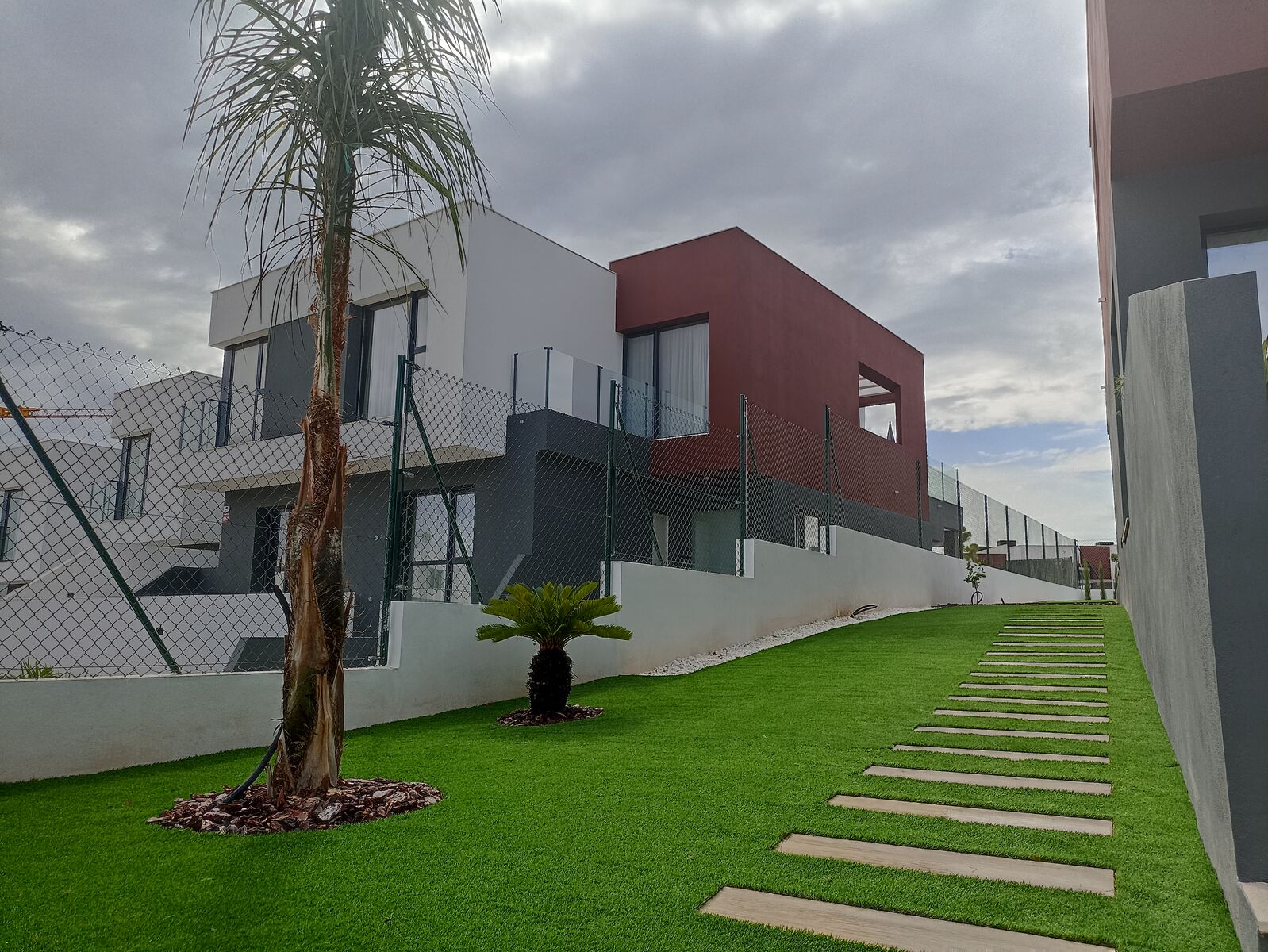 Jardín residencial con palmera