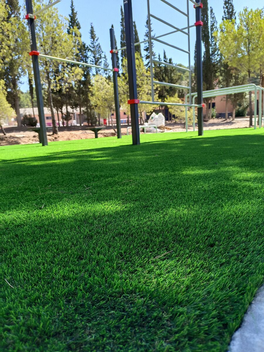 Zona deportiva con cipreses