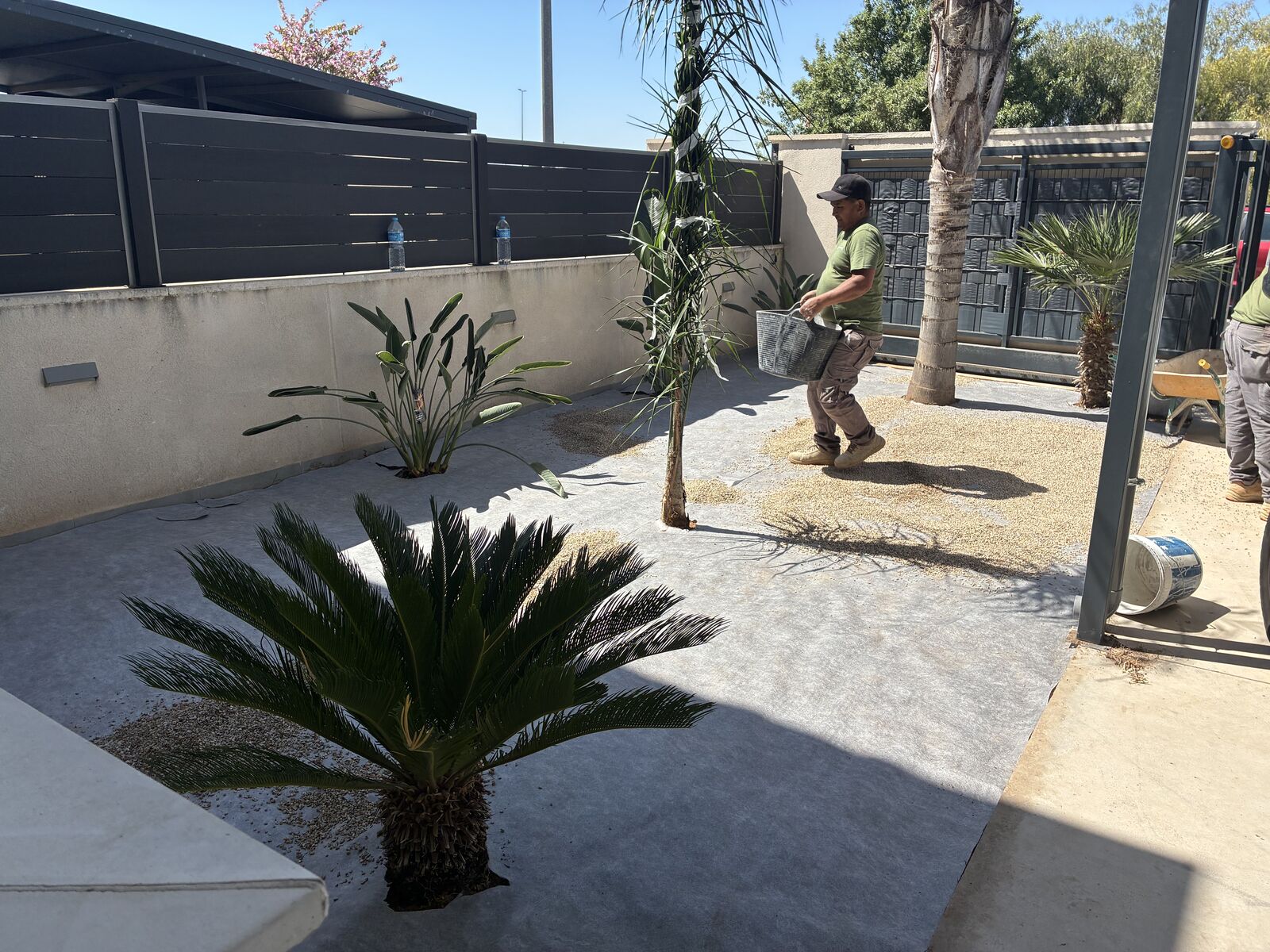 Exterior con piscina y césped